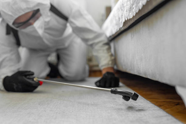 Professional Pest Control technician working in Marksville, LA