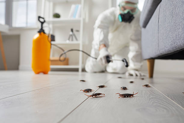 Affordable Pest Control solutions in Marksville, LA